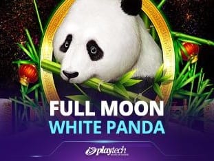 Full Moon_ White Panda™ screenshot