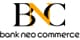 BSI partner logo